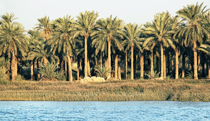 Abadan City